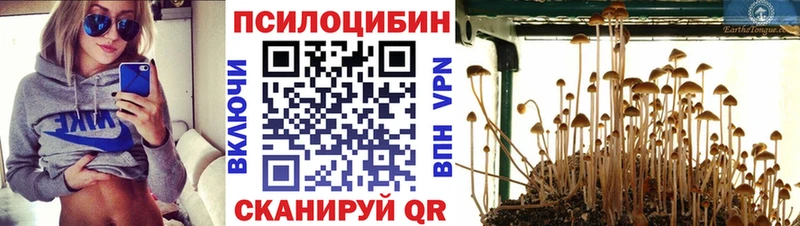 Галлюциногенные грибы мухоморы  Купить где  Грязовец 